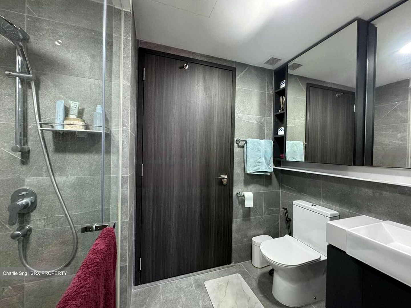 Riverfront Residences (D19), Apartment #461281731